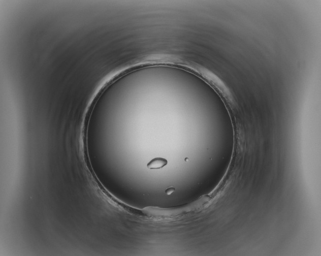 X0000113261288200909101451