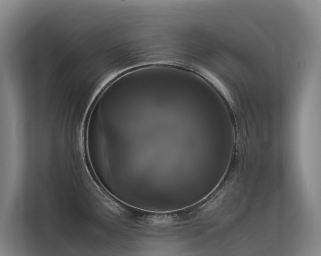 X0000113261291200909101451