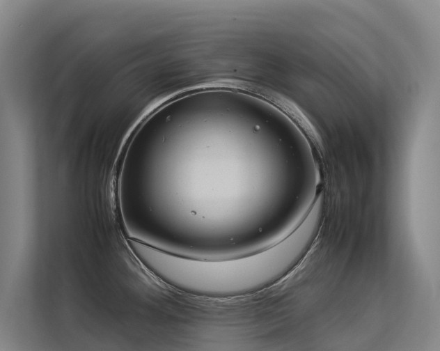 X0000113261292200909101451