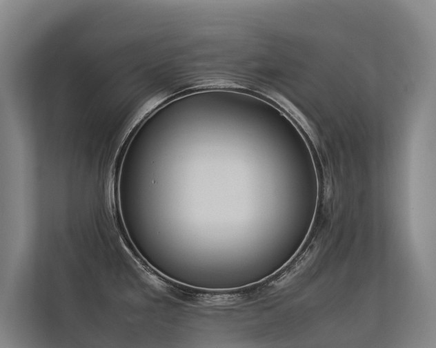 X0000113261293200909101451