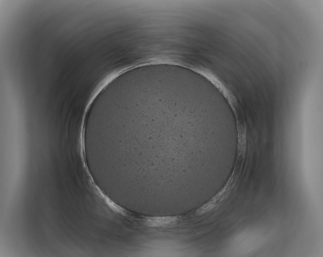 X0000113261294200909101451