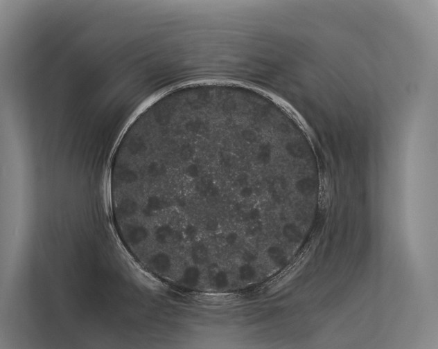 X0000113261295200909101451