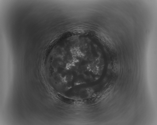 X0000113261297200909101451