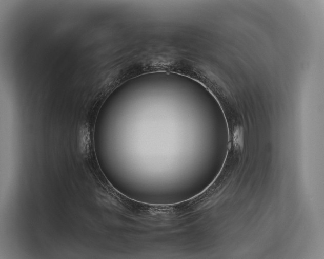 X0000113261299200909101451