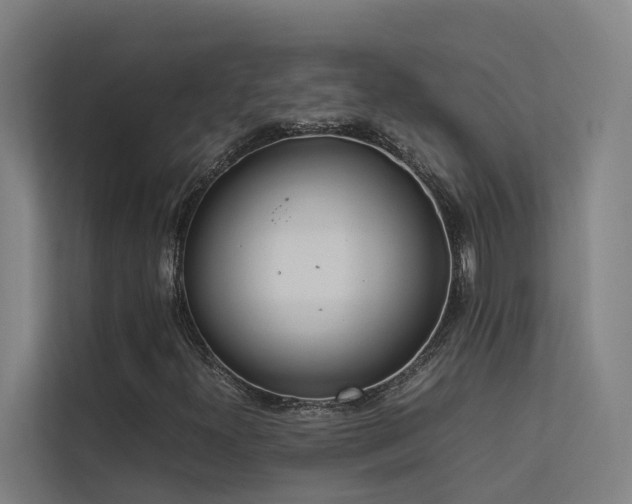 X0000113261300200909101451