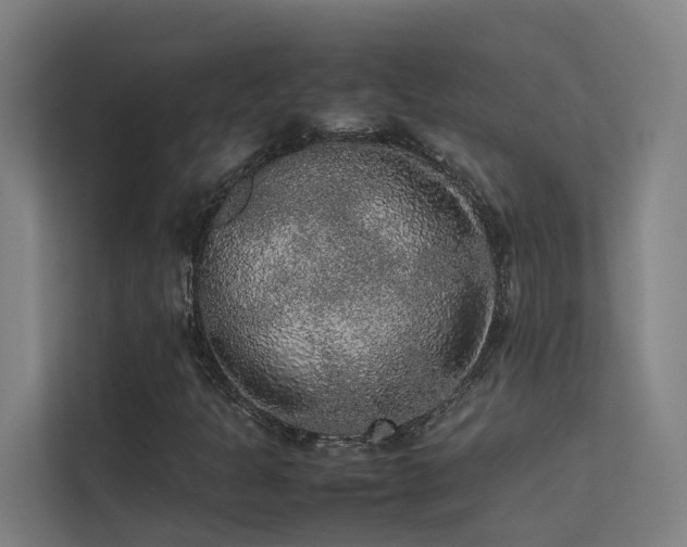 X0000113261301200909101451