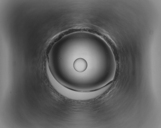 X0000113261304200909101451