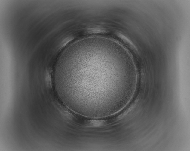 X0000113261305200909101451