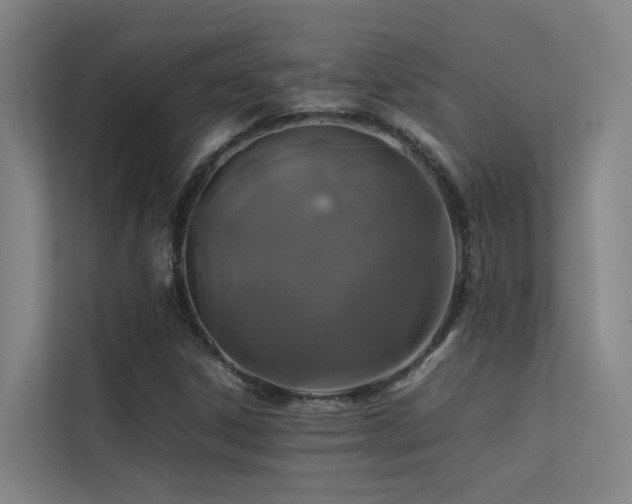 X0000113261306200909101451