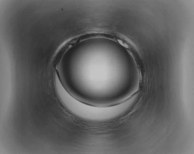 X0000113261310200909101451