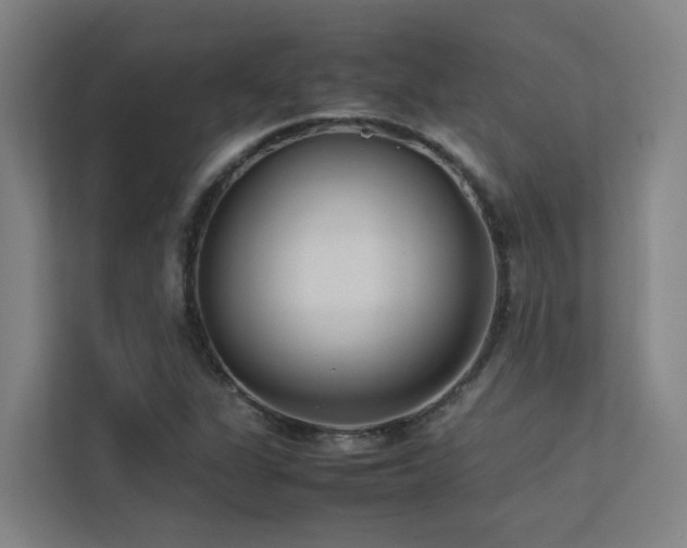 X0000113261311200909101451