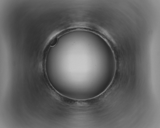 X0000113261312200909101451