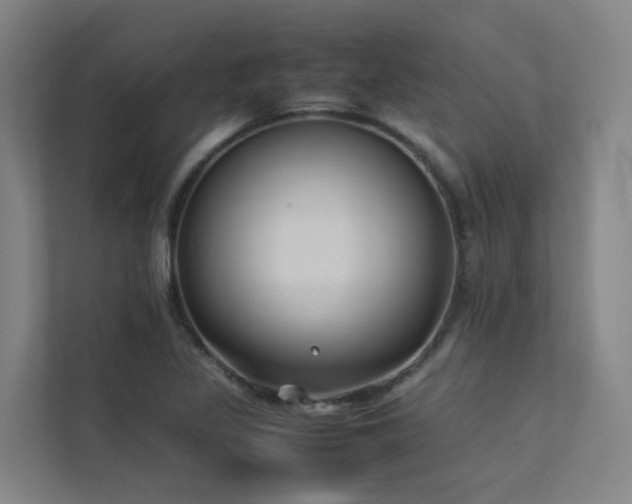 X0000113261317200909101451