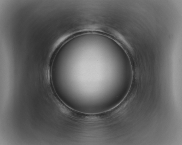 X0000113261320200909101451