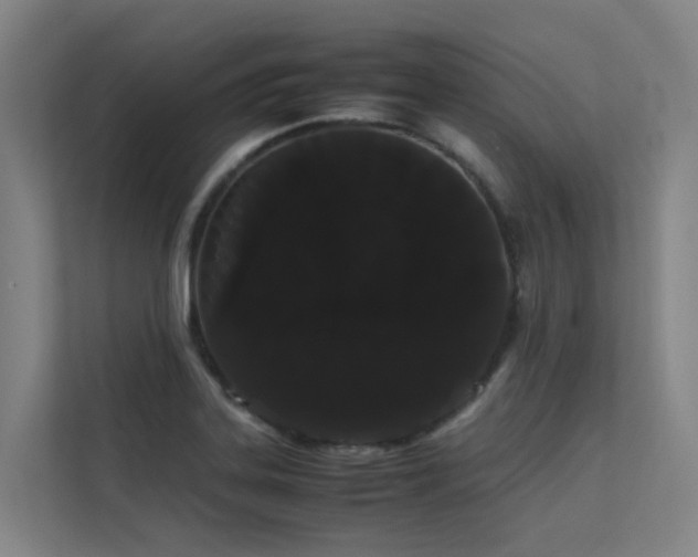 X0000113261323200909101451