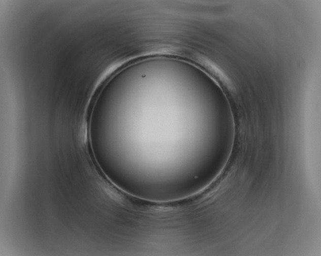 X0000113261324200909101451