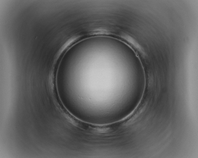 X0000113261325200909101451