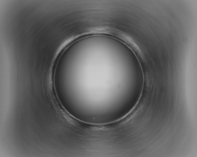 X0000113261328200909101451