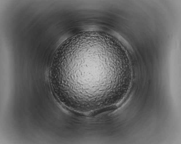 X0000113261329200909101451