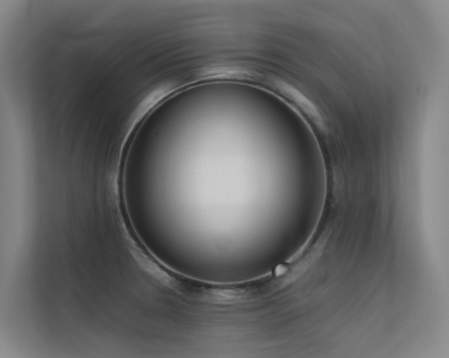 X0000113261330200909101451