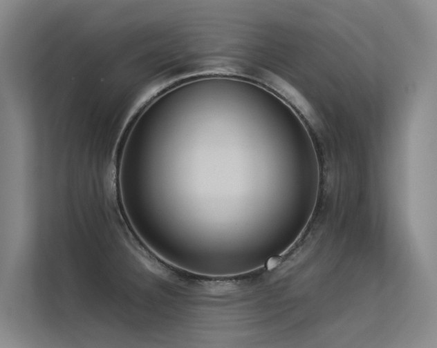 X0000113261332200909101451