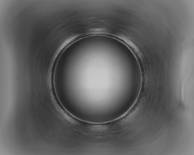 X0000113261333200909101451