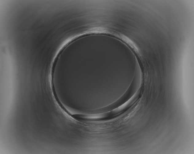 X0000113261334200909101451