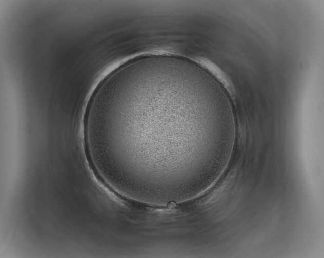 X0000113261335200909101451