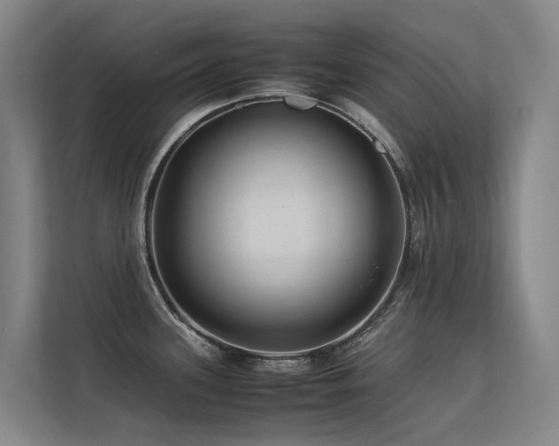 X0000113261339200909101451