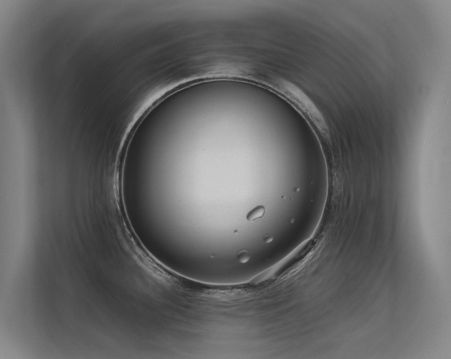 X0000113261340200909101451