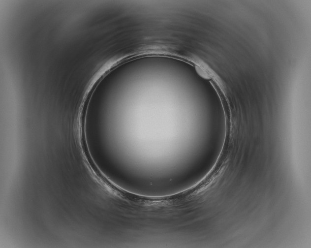 X0000113261341200909101451