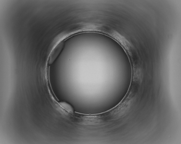 X0000113261342200909101451