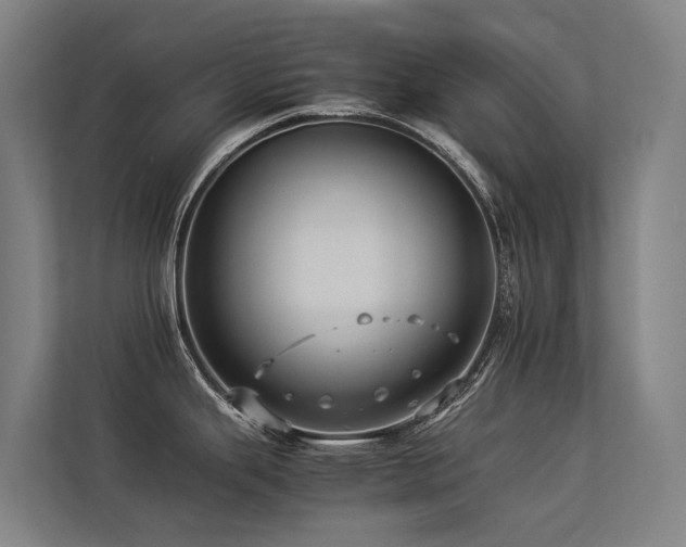 X0000113261343200909101451