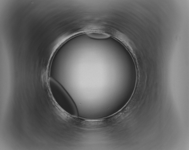 X0000113261344200909101451