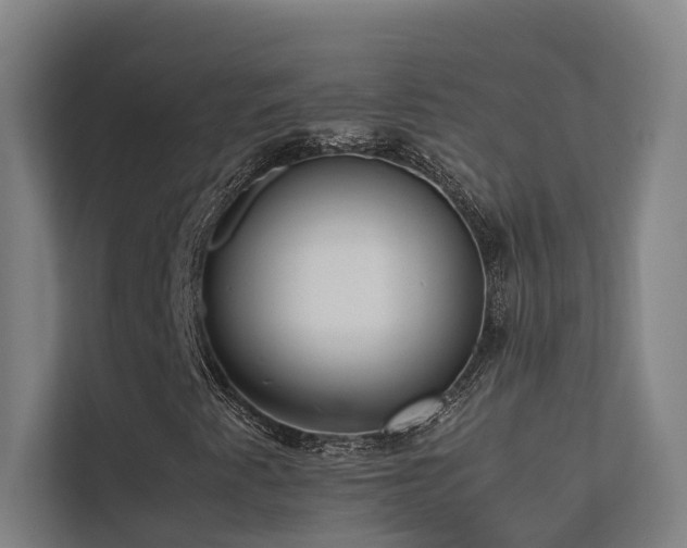 X0000113261345200909101451