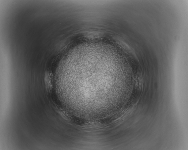 X0000113261346200909101450