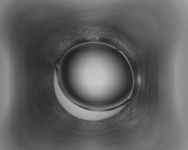 X0000113261348200909101450