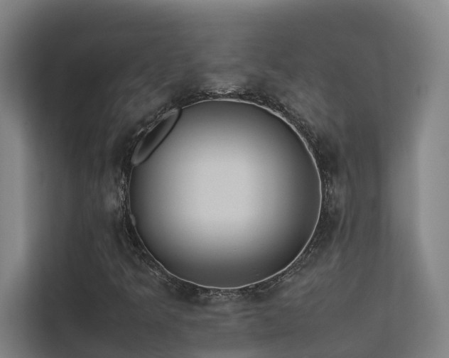 X0000113261349200909101450