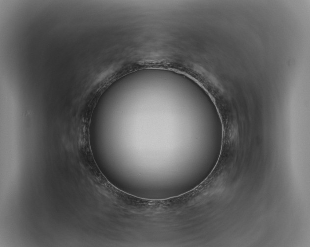 X0000113261350200909101450