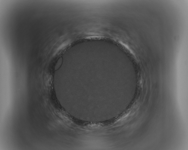 X0000113261351200909101450