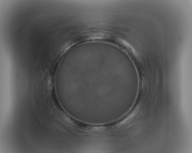 X0000113261353200909101450