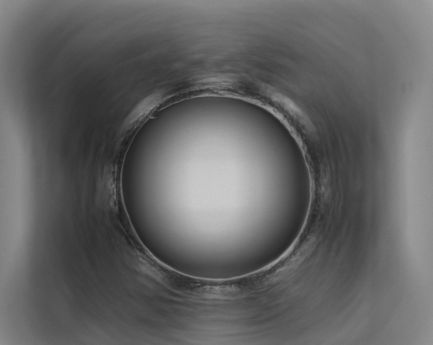 X0000113261354200909101450