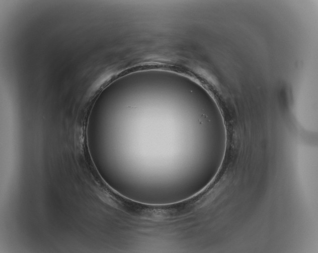 X0000113261355200909101450