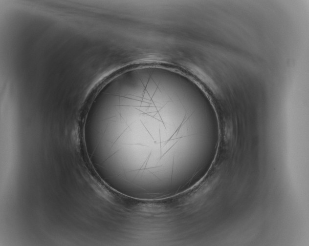 X0000113261356200909101450