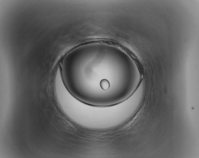 X0000113261357200909101450