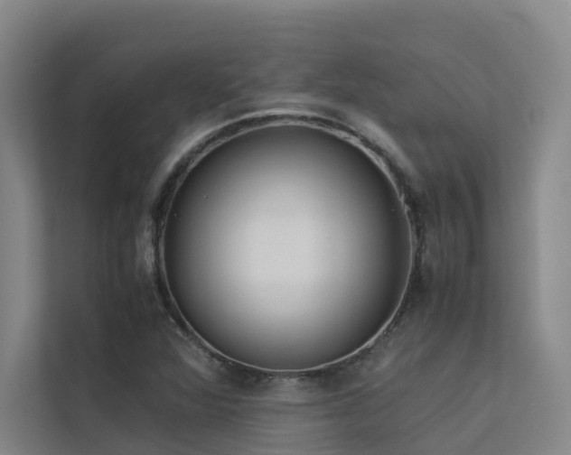 X0000113261360200909101450