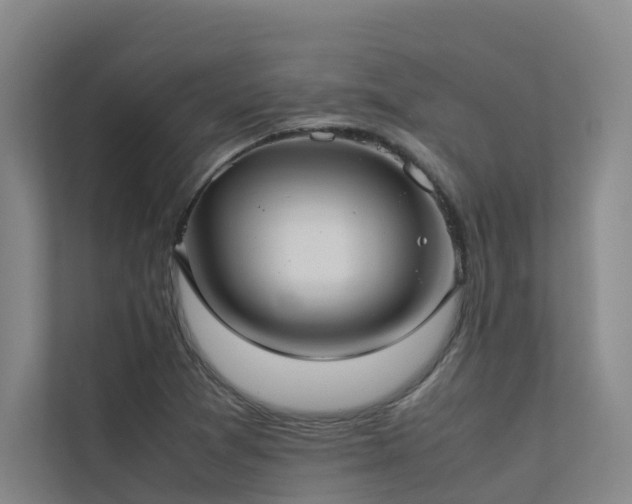 X0000113261361200909101450