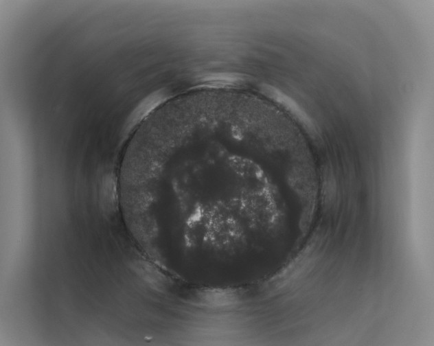 X0000113261362200909101450