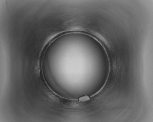 X0000113261364200909101450