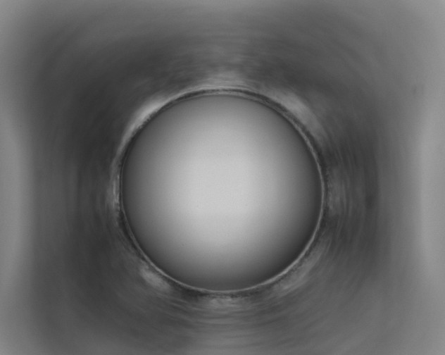 X0000113261366200909101450